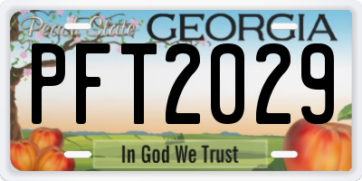 GA license plate PFT2029