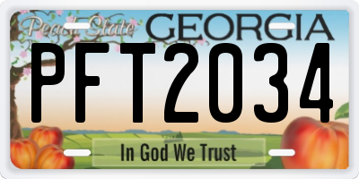 GA license plate PFT2034