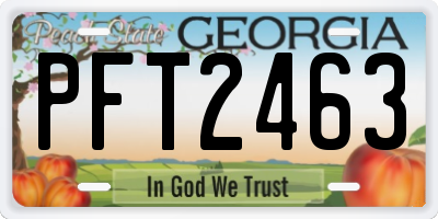 GA license plate PFT2463