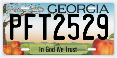 GA license plate PFT2529