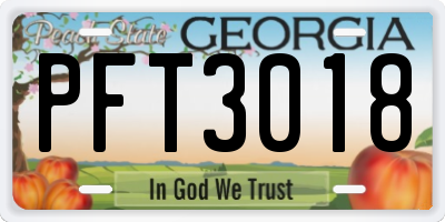 GA license plate PFT3018