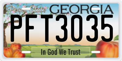 GA license plate PFT3035