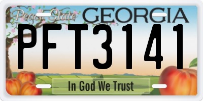 GA license plate PFT3141