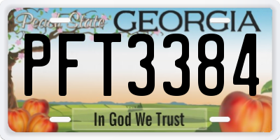 GA license plate PFT3384
