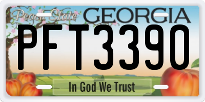 GA license plate PFT3390