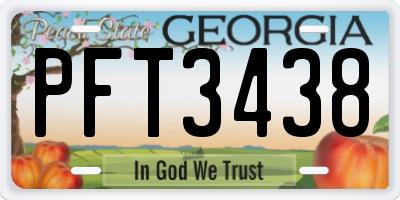 GA license plate PFT3438