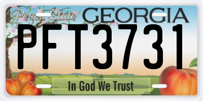 GA license plate PFT3731