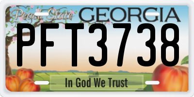 GA license plate PFT3738