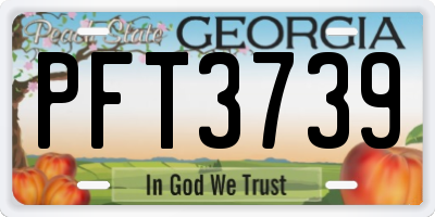 GA license plate PFT3739