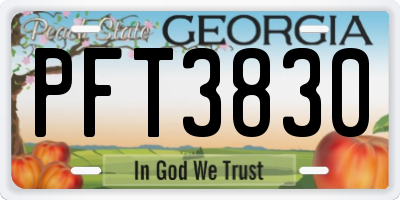 GA license plate PFT3830
