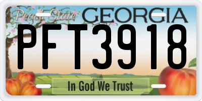 GA license plate PFT3918