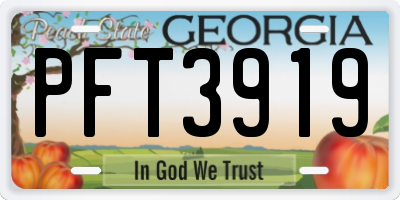 GA license plate PFT3919