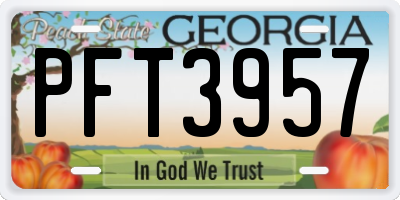 GA license plate PFT3957