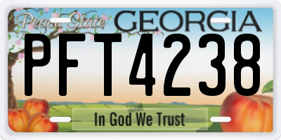 GA license plate PFT4238