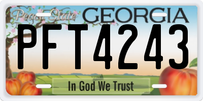 GA license plate PFT4243