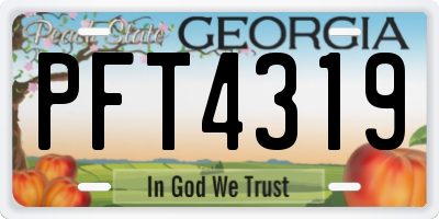 GA license plate PFT4319