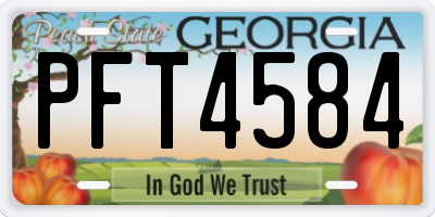 GA license plate PFT4584