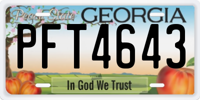 GA license plate PFT4643