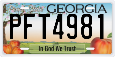 GA license plate PFT4981