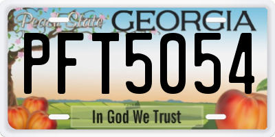 GA license plate PFT5054