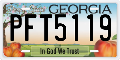 GA license plate PFT5119