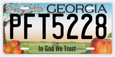 GA license plate PFT5228