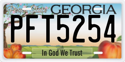 GA license plate PFT5254