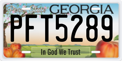 GA license plate PFT5289