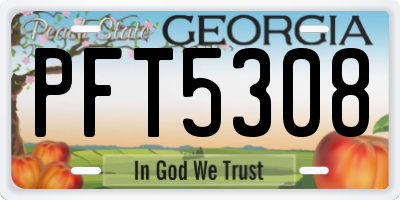 GA license plate PFT5308