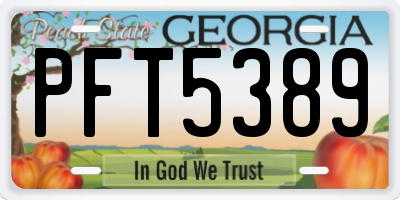 GA license plate PFT5389
