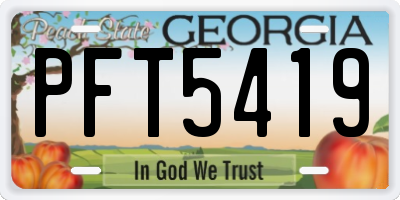 GA license plate PFT5419