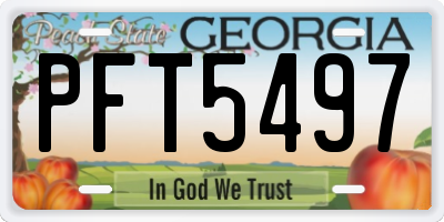 GA license plate PFT5497