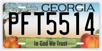 GA license plate PFT5514