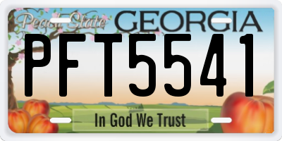 GA license plate PFT5541