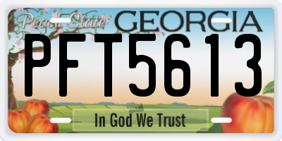 GA license plate PFT5613