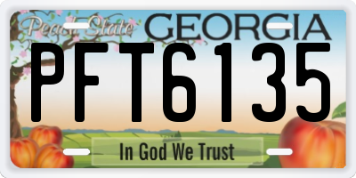 GA license plate PFT6135