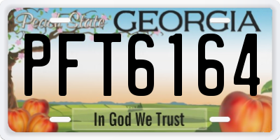 GA license plate PFT6164