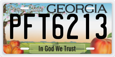 GA license plate PFT6213