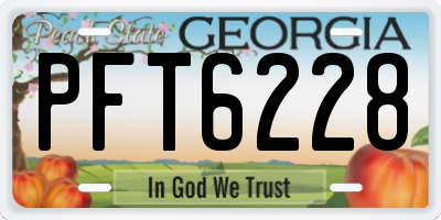 GA license plate PFT6228