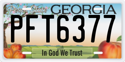GA license plate PFT6377