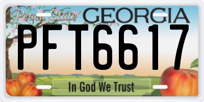 GA license plate PFT6617