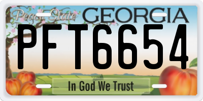 GA license plate PFT6654
