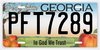 GA license plate PFT7289