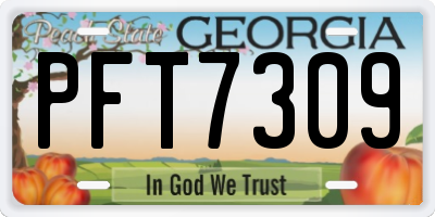 GA license plate PFT7309