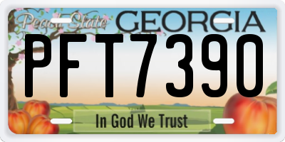 GA license plate PFT7390