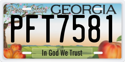 GA license plate PFT7581