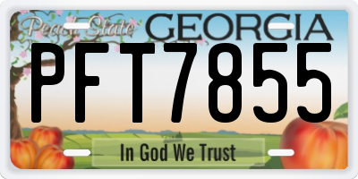 GA license plate PFT7855