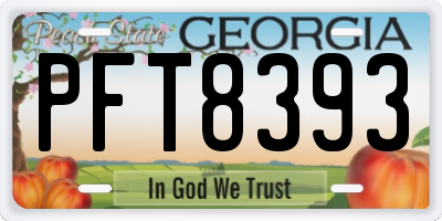 GA license plate PFT8393