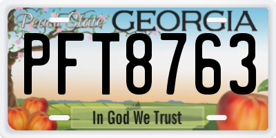 GA license plate PFT8763