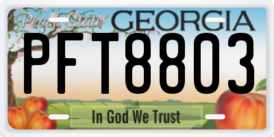 GA license plate PFT8803